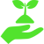 hand-holding-up-a-sprout.png
