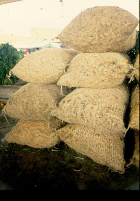 scan0061