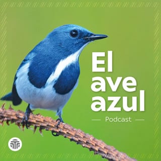 Portada del podcast El Ave Azul