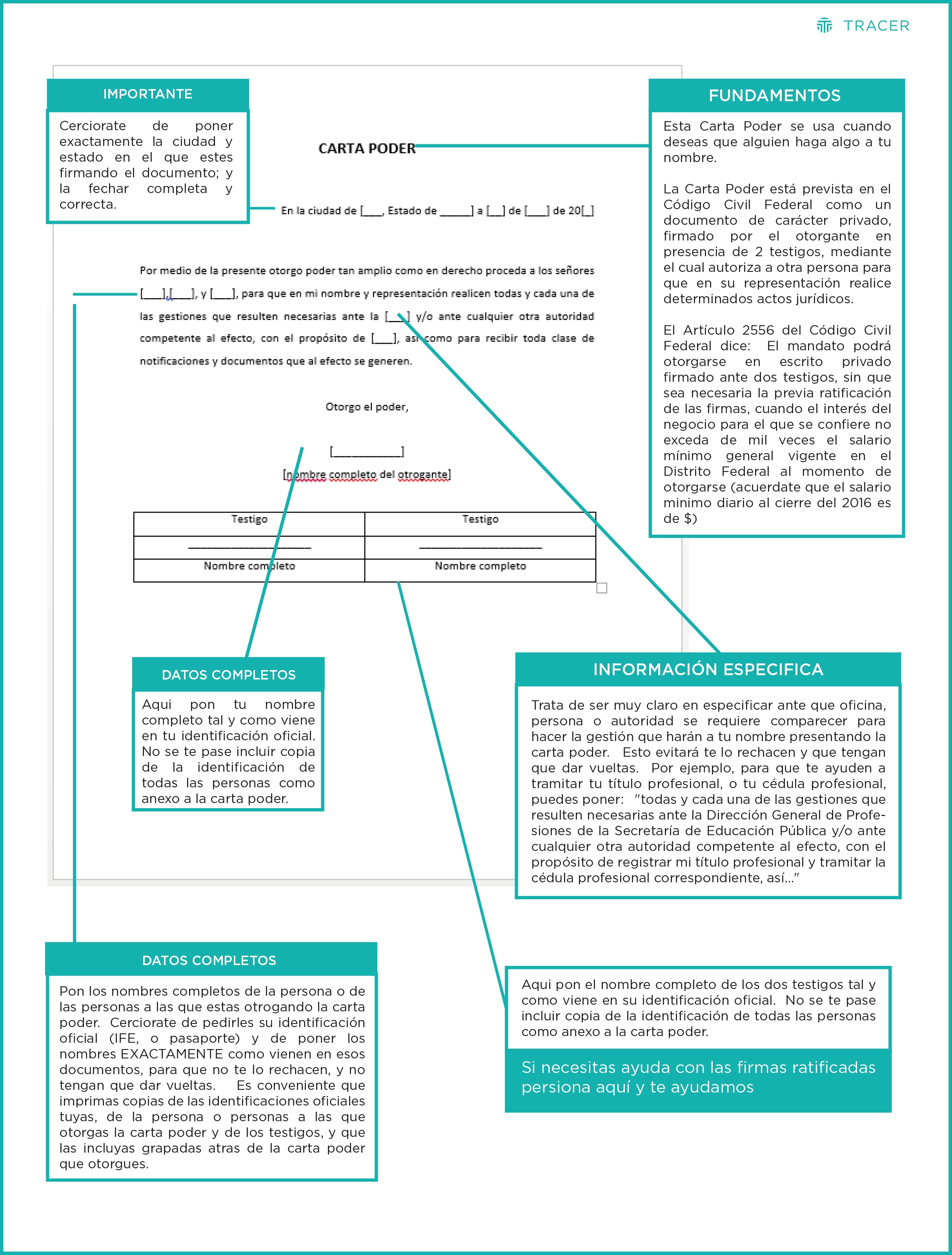 carta poder - ejemplo